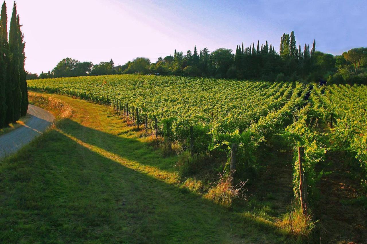 La Striscia Wine Resort Arezzo Eksteriør billede